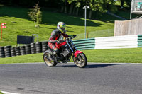 cadwell-no-limits-trackday;cadwell-park;cadwell-park-photographs;cadwell-trackday-photographs;enduro-digital-images;event-digital-images;eventdigitalimages;no-limits-trackdays;peter-wileman-photography;racing-digital-images;trackday-digital-images;trackday-photos