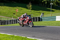 cadwell-no-limits-trackday;cadwell-park;cadwell-park-photographs;cadwell-trackday-photographs;enduro-digital-images;event-digital-images;eventdigitalimages;no-limits-trackdays;peter-wileman-photography;racing-digital-images;trackday-digital-images;trackday-photos