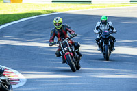 Middle Group Red Bikes