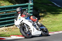 cadwell-no-limits-trackday;cadwell-park;cadwell-park-photographs;cadwell-trackday-photographs;enduro-digital-images;event-digital-images;eventdigitalimages;no-limits-trackdays;peter-wileman-photography;racing-digital-images;trackday-digital-images;trackday-photos