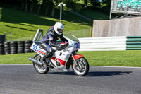 cadwell-no-limits-trackday;cadwell-park;cadwell-park-photographs;cadwell-trackday-photographs;enduro-digital-images;event-digital-images;eventdigitalimages;no-limits-trackdays;peter-wileman-photography;racing-digital-images;trackday-digital-images;trackday-photos