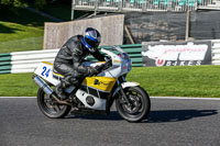 cadwell-no-limits-trackday;cadwell-park;cadwell-park-photographs;cadwell-trackday-photographs;enduro-digital-images;event-digital-images;eventdigitalimages;no-limits-trackdays;peter-wileman-photography;racing-digital-images;trackday-digital-images;trackday-photos
