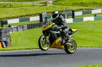 cadwell-no-limits-trackday;cadwell-park;cadwell-park-photographs;cadwell-trackday-photographs;enduro-digital-images;event-digital-images;eventdigitalimages;no-limits-trackdays;peter-wileman-photography;racing-digital-images;trackday-digital-images;trackday-photos