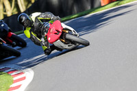 cadwell-no-limits-trackday;cadwell-park;cadwell-park-photographs;cadwell-trackday-photographs;enduro-digital-images;event-digital-images;eventdigitalimages;no-limits-trackdays;peter-wileman-photography;racing-digital-images;trackday-digital-images;trackday-photos