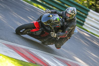 Lower Group Black Bikes