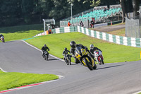 Middle Group Yellow Bikes