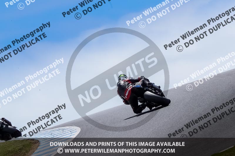 07th to 9th January 2019;Phillip Island;event digital images;motorbikes;no limits;peter wileman photography;trackday;trackday digital images
