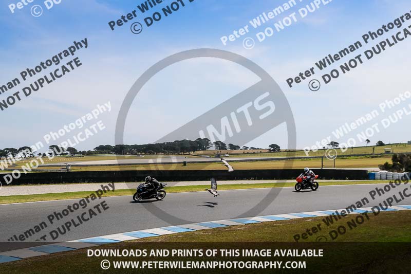 07th to 9th January 2019;Phillip Island;event digital images;motorbikes;no limits;peter wileman photography;trackday;trackday digital images