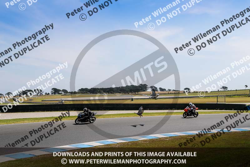 07th to 9th January 2019;Phillip Island;event digital images;motorbikes;no limits;peter wileman photography;trackday;trackday digital images