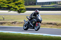 07th-to-9th-January-2019;Phillip-Island;event-digital-images;motorbikes;no-limits;peter-wileman-photography;trackday;trackday-digital-images