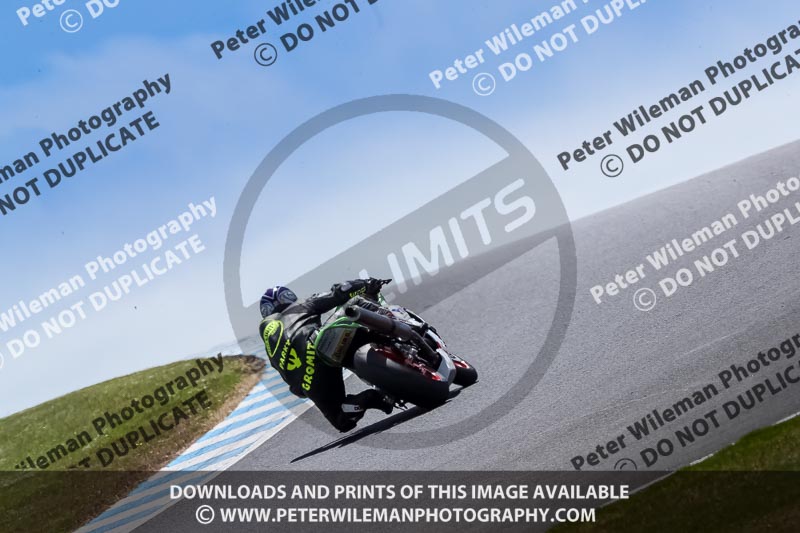 07th to 9th January 2019;Phillip Island;event digital images;motorbikes;no limits;peter wileman photography;trackday;trackday digital images