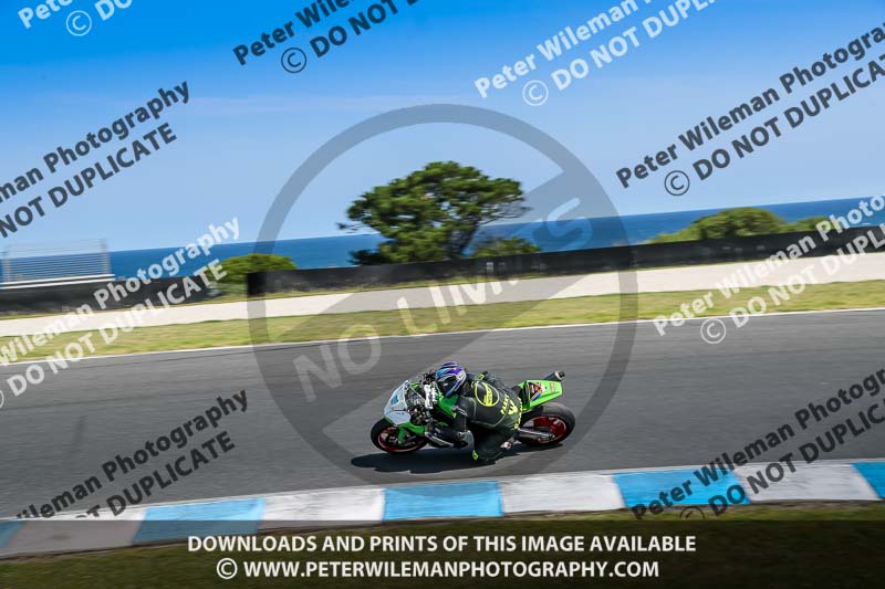 07th to 9th January 2019;Phillip Island;event digital images;motorbikes;no limits;peter wileman photography;trackday;trackday digital images