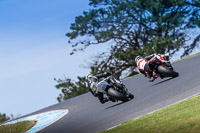 07th-to-9th-January-2019;Phillip-Island;event-digital-images;motorbikes;no-limits;peter-wileman-photography;trackday;trackday-digital-images