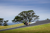 07th-to-9th-January-2019;Phillip-Island;event-digital-images;motorbikes;no-limits;peter-wileman-photography;trackday;trackday-digital-images