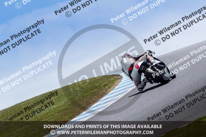 07th to 9th January 2019;Phillip Island;event digital images;motorbikes;no limits;peter wileman photography;trackday;trackday digital images