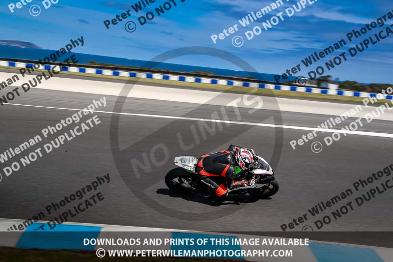 07th to 9th January 2019;Phillip Island;event digital images;motorbikes;no limits;peter wileman photography;trackday;trackday digital images