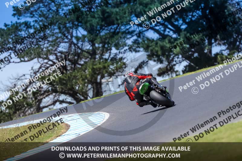 07th to 9th January 2019;Phillip Island;event digital images;motorbikes;no limits;peter wileman photography;trackday;trackday digital images
