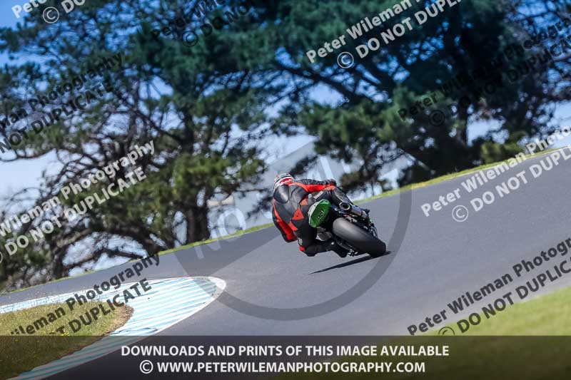 07th to 9th January 2019;Phillip Island;event digital images;motorbikes;no limits;peter wileman photography;trackday;trackday digital images