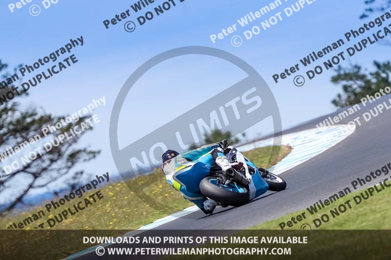 07th to 9th January 2019;Phillip Island;event digital images;motorbikes;no limits;peter wileman photography;trackday;trackday digital images