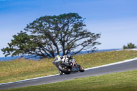 07th-to-9th-January-2019;Phillip-Island;event-digital-images;motorbikes;no-limits;peter-wileman-photography;trackday;trackday-digital-images