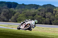 07th-to-9th-January-2019;Phillip-Island;event-digital-images;motorbikes;no-limits;peter-wileman-photography;trackday;trackday-digital-images