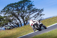 07th-to-9th-January-2019;Phillip-Island;event-digital-images;motorbikes;no-limits;peter-wileman-photography;trackday;trackday-digital-images