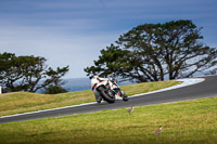 07th-to-9th-January-2019;Phillip-Island;event-digital-images;motorbikes;no-limits;peter-wileman-photography;trackday;trackday-digital-images