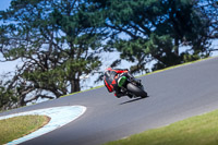 07th-to-9th-January-2019;Phillip-Island;event-digital-images;motorbikes;no-limits;peter-wileman-photography;trackday;trackday-digital-images