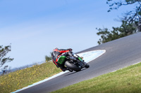 07th-to-9th-January-2019;Phillip-Island;event-digital-images;motorbikes;no-limits;peter-wileman-photography;trackday;trackday-digital-images