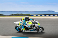07th-to-9th-January-2019;Phillip-Island;event-digital-images;motorbikes;no-limits;peter-wileman-photography;trackday;trackday-digital-images