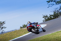 07th-to-9th-January-2019;Phillip-Island;event-digital-images;motorbikes;no-limits;peter-wileman-photography;trackday;trackday-digital-images