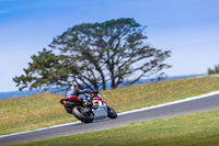 07th-to-9th-January-2019;Phillip-Island;event-digital-images;motorbikes;no-limits;peter-wileman-photography;trackday;trackday-digital-images