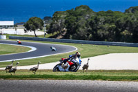 07th-to-9th-January-2019;Phillip-Island;event-digital-images;motorbikes;no-limits;peter-wileman-photography;trackday;trackday-digital-images