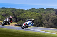 07th-to-9th-January-2019;Phillip-Island;event-digital-images;motorbikes;no-limits;peter-wileman-photography;trackday;trackday-digital-images