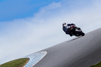 07th-to-9th-January-2019;Phillip-Island;event-digital-images;motorbikes;no-limits;peter-wileman-photography;trackday;trackday-digital-images