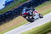 07th-to-9th-January-2019;Phillip-Island;event-digital-images;motorbikes;no-limits;peter-wileman-photography;trackday;trackday-digital-images