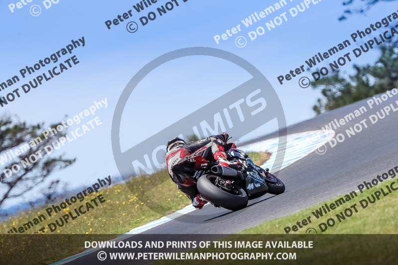 07th to 9th January 2019;Phillip Island;event digital images;motorbikes;no limits;peter wileman photography;trackday;trackday digital images