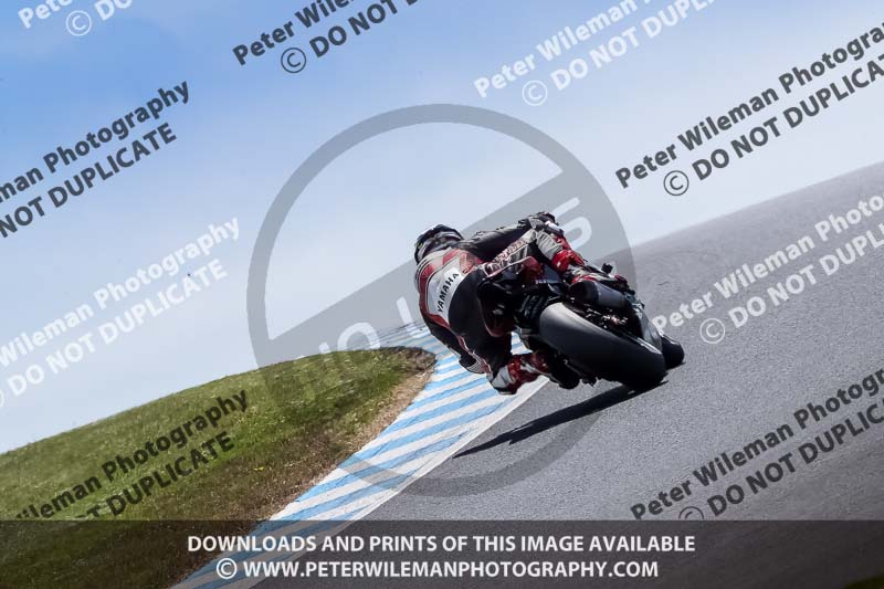 07th to 9th January 2019;Phillip Island;event digital images;motorbikes;no limits;peter wileman photography;trackday;trackday digital images