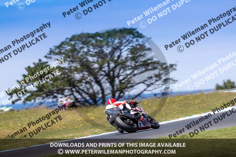 07th to 9th January 2019;Phillip Island;event digital images;motorbikes;no limits;peter wileman photography;trackday;trackday digital images