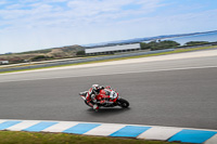 07th-to-9th-January-2019;Phillip-Island;event-digital-images;motorbikes;no-limits;peter-wileman-photography;trackday;trackday-digital-images