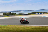 07th-to-9th-January-2019;Phillip-Island;event-digital-images;motorbikes;no-limits;peter-wileman-photography;trackday;trackday-digital-images