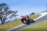 07th-to-9th-January-2019;Phillip-Island;event-digital-images;motorbikes;no-limits;peter-wileman-photography;trackday;trackday-digital-images
