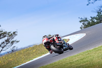 07th-to-9th-January-2019;Phillip-Island;event-digital-images;motorbikes;no-limits;peter-wileman-photography;trackday;trackday-digital-images