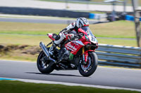 07th-to-9th-January-2019;Phillip-Island;event-digital-images;motorbikes;no-limits;peter-wileman-photography;trackday;trackday-digital-images