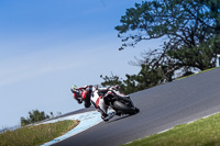 07th-to-9th-January-2019;Phillip-Island;event-digital-images;motorbikes;no-limits;peter-wileman-photography;trackday;trackday-digital-images
