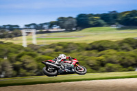 07th-to-9th-January-2019;Phillip-Island;event-digital-images;motorbikes;no-limits;peter-wileman-photography;trackday;trackday-digital-images
