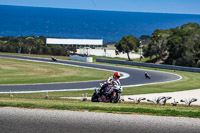 07th-to-9th-January-2019;Phillip-Island;event-digital-images;motorbikes;no-limits;peter-wileman-photography;trackday;trackday-digital-images
