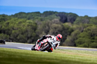 07th-to-9th-January-2019;Phillip-Island;event-digital-images;motorbikes;no-limits;peter-wileman-photography;trackday;trackday-digital-images