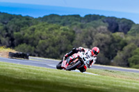 07th-to-9th-January-2019;Phillip-Island;event-digital-images;motorbikes;no-limits;peter-wileman-photography;trackday;trackday-digital-images
