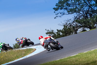 07th-to-9th-January-2019;Phillip-Island;event-digital-images;motorbikes;no-limits;peter-wileman-photography;trackday;trackday-digital-images
